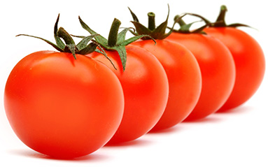 tomato preheaters