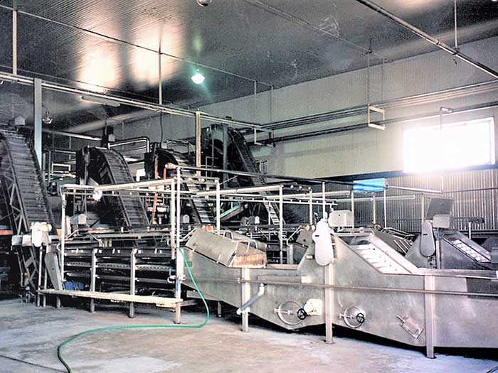 Hot technology fruit creams production lines