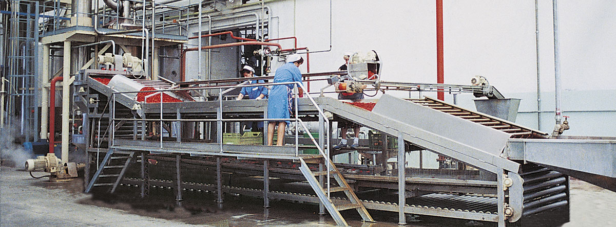 Our lines for the production of tomato concentrates and tomato pastes, are built according to the highest safety requirements according to the highest standards. Systems of different capacities from 100 to over 1,000 T/24h of raw material are available. Installations include the entire processing chain, raw material receipt, washing and selection lines, juice extraction, continuous concentration and aseptic packaging. The conformation of the lines differs according to production capacity, proportionate to the compatibility of the financial investment with the profitability of the installation, as well as for the preheating, Hot-break or Cold-break technology, according to the request. The operation is completely automatic, managed by a PLC system with operator panel, HMI, touch-screen used to manage the adjustment parameters and control all the variables in the field, with the real-time display of alarms and the level, temperature, pressure, flow and speed of the motors, in addition to the error diagnostics.