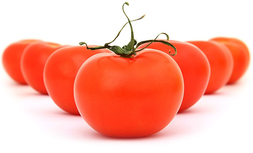 icône Concentrés et purées de tomates