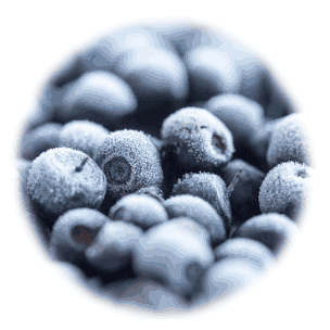 blueberry defrosters