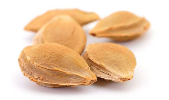 Apricot kernels