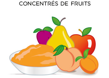 CONCENTRES DE FRUITS